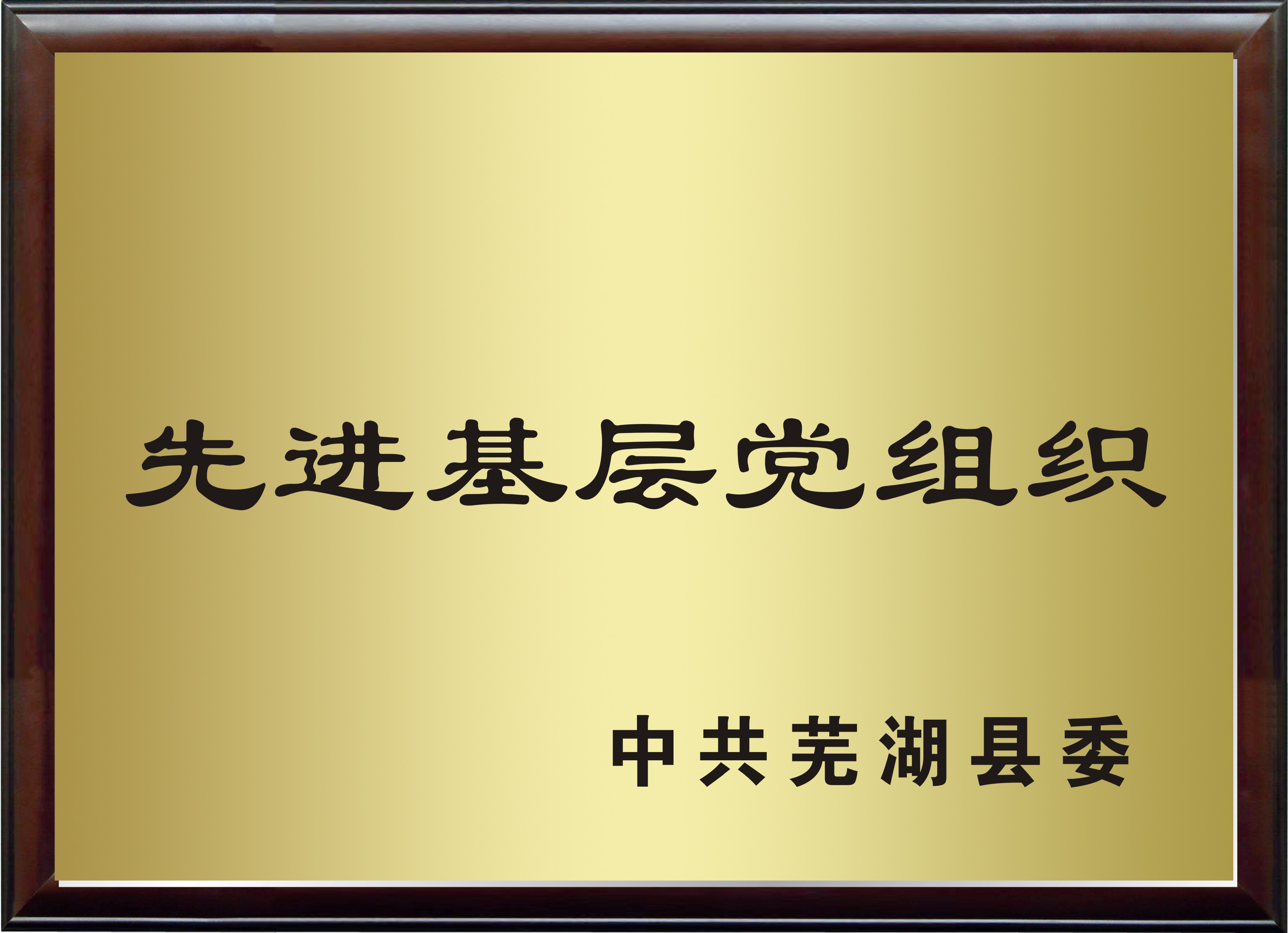 ������ѧ����չʾ