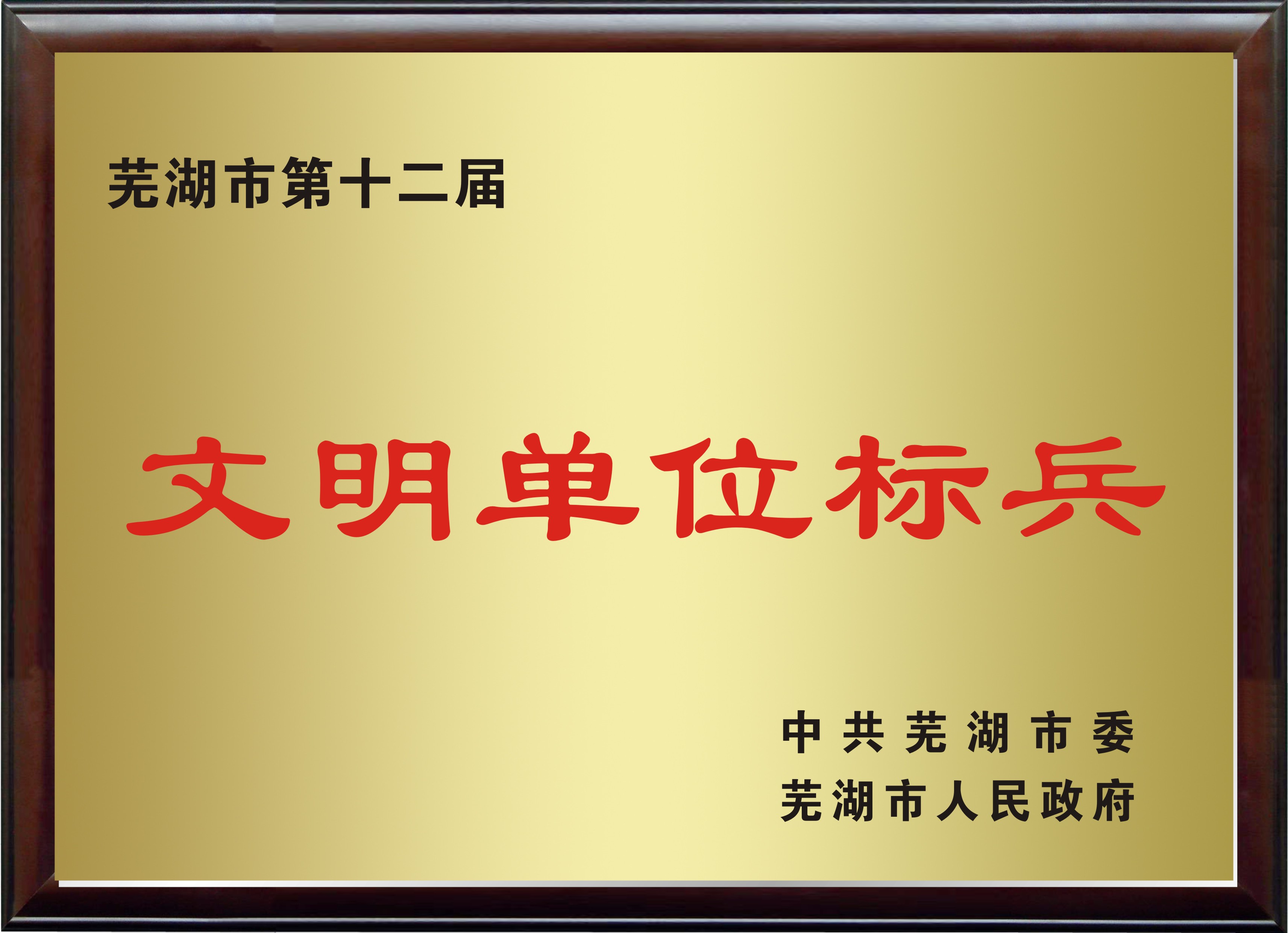 ������ѧ����չʾ