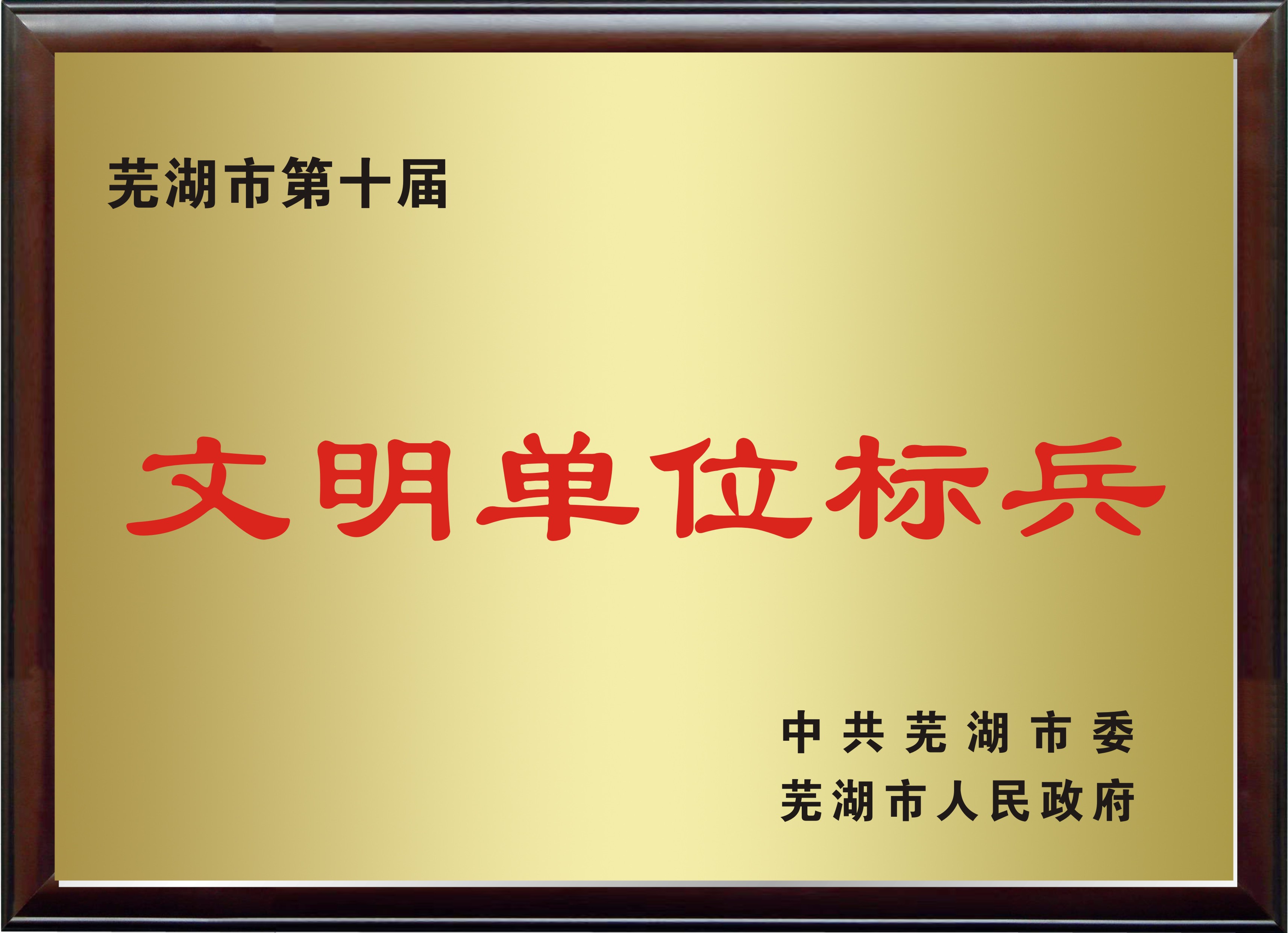 ������ѧ����չʾ